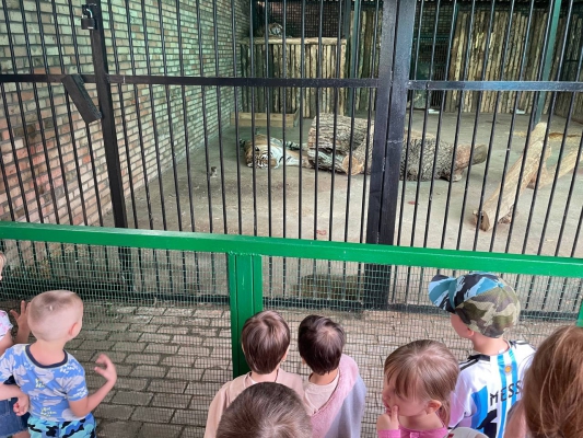 Посещение зоопарка средняя группа